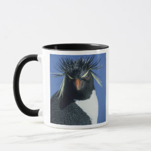 Mug Manchot de Hoppe (Eudyptes chrysocome)