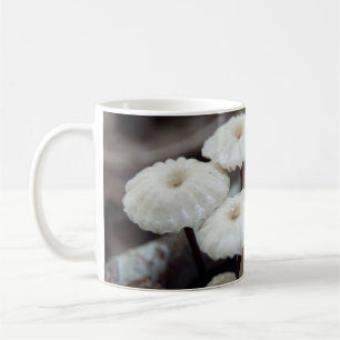 Mug Marasmius rotula Musique