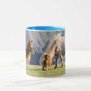 Mug Mare avec Foal, îles Shetland, Ecosse