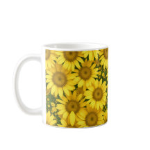 Marguerites jaunes