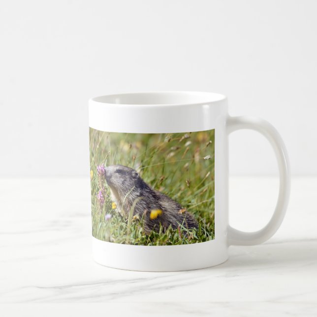 Mug Marmotte alpine près de la fleur (Droite)