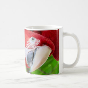 Mug Me regardez-vous????