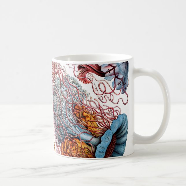 Mug Méduses d'Ernst Haeckel Discomedusae (Droite)