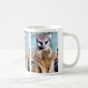 MUG MEERKAT