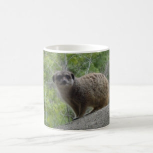 Mug Meerkat
