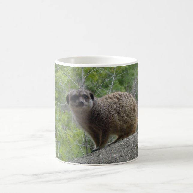 Mug Meerkat (Centre)