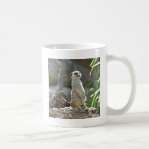 Mug Meerkat