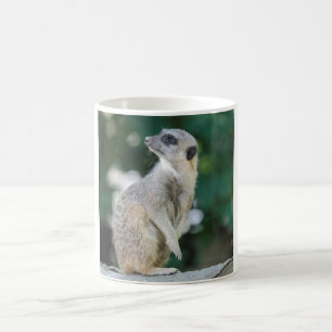 Mug Meerkat_2015_0103