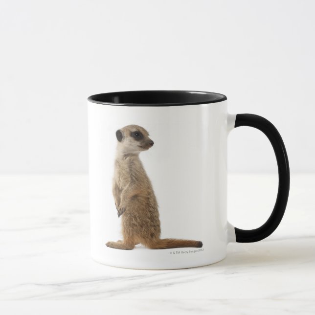 Mug Meerkat ou Suricate - suricatta de Suricata (Droite)