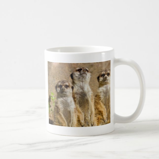 Mug Meerkats (Droite)