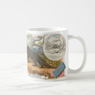 Mug megalosaurus de carte de dinosaure de chocolat de