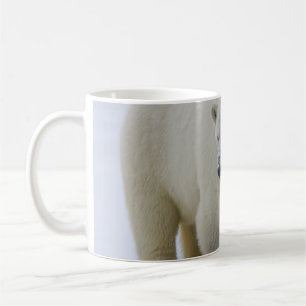MUG MÈRE DE L'OURS POLAIRE ET CUB NORD ALASKA