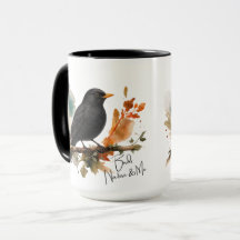 Merle noir - Oiseaux, Nature & Moi