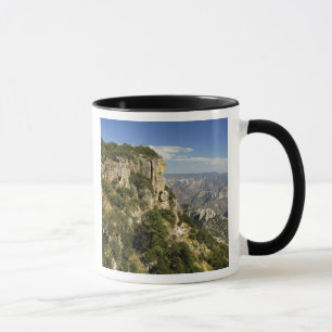 Mug Mexique, État de Chihuahua, Copper Canyon. CECI