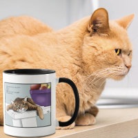 Mignon Chat Tigre Orange Drôle en Attente
