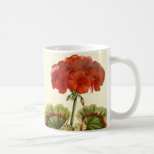 Mug 'Miss Pollack' Zonal Geranium
