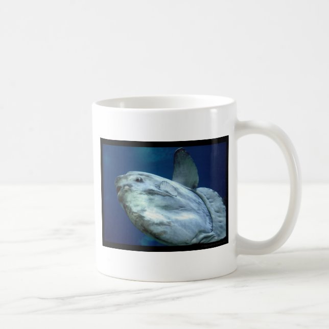 Mug Mola 001 de Mola de Sunfish (Droite)