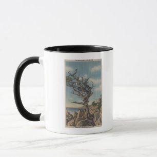 Mug Monterey, CA - Old Witch Tree sur 17 Mile