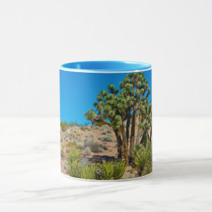 Mug Monument national de Gold Butte