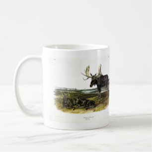 Mug Moose Deer (Moose - Alces alces) par Audubon