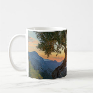 Mug Mug, olivier, coucher de soleil, vue sur mer.