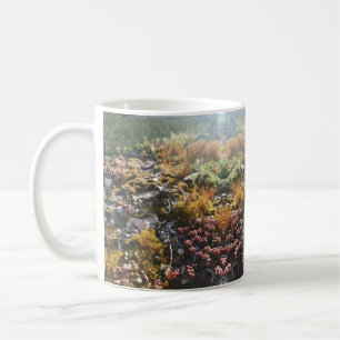 Mug muqueuse