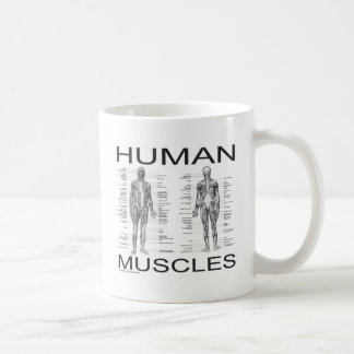 Mug Muscles humains et anatomie