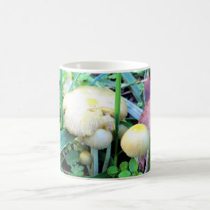 Mug Mushrooms de l'Oregon