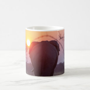 Mug Musique
