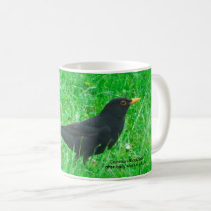 Mug Musique