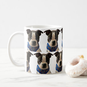 Mug Musique Boston Terrier