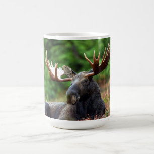 Mug Musique de café d'orignal