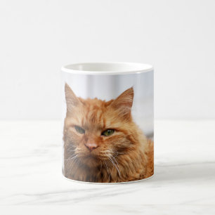 Mug Musique de chat de la forêt norvégienne