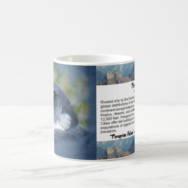 Mug Musique de faucon pèlerin (Centre)