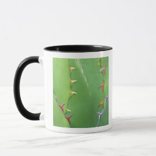 Mug N.A., États-Unis, AZ, Phoenix, Desert Botanical 2