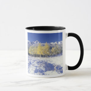 Mug N.A., États-Unis, Colorado, San Juan Mts Neige fra