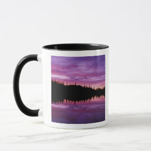 Mug N.A., États-Unis, Washington, Mt. Rainier National
