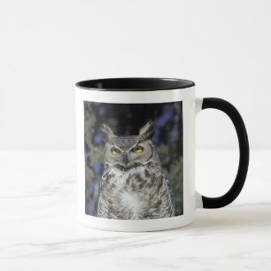 Mug NA, États-Unis, Nouveau-Mexique, Wildlife West Nat