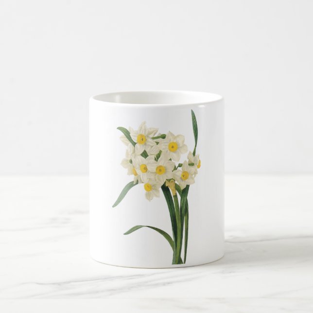 Mug narcisse (tazetta de narcisse) par Redouté (Centre)