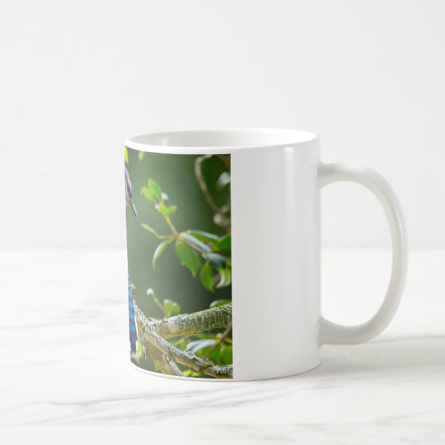 Mug Nature Photographie Shy Blue Jay Vêtements Cadeaux (Droite)