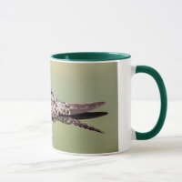Nighthawk commun
