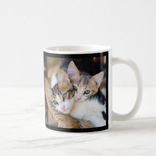 Mug Noms des photos de chat
