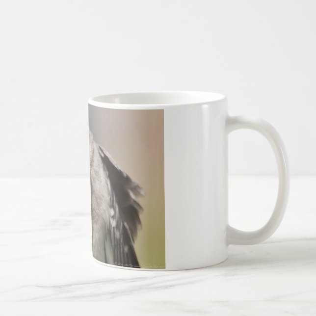 Mug Northern Mockingbird prend un Bow Appareils & cade (Droite)