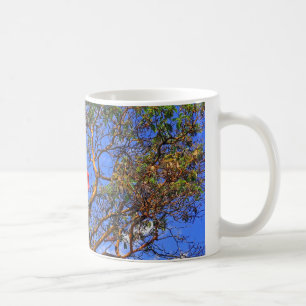 Mug O Canada - Musique