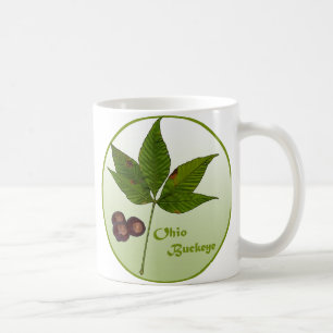 Mug Ohio Buckeye Tree