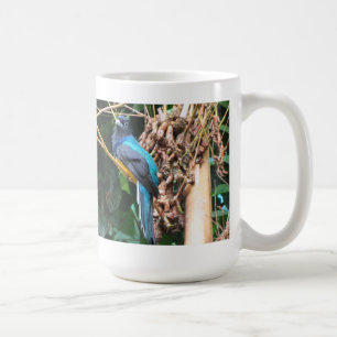 Mug Oiseau bleu à longue queue
