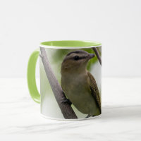Oiseau vert, Vireo à yeux rouges, Photographie can