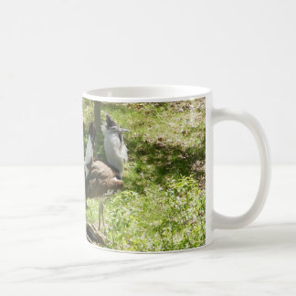 Mug Oiseaux africains : Outarde de Kori