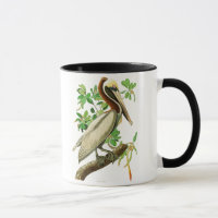 Oiseaux Brown de John James Audubon de pélican de