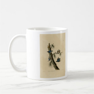 Mug Oiseaux d'Amérique de Nuthatch Audubon au coeur bl